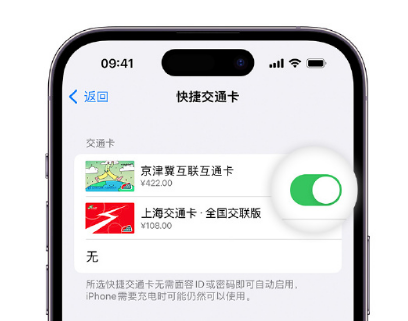 甘南apple维修点分享iPhone上更换Apple Pay快捷交通卡手绘卡面 