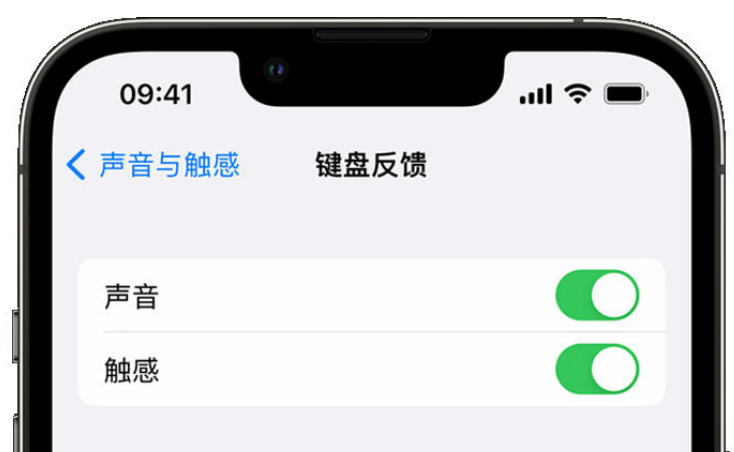 甘南苹果手机维修分享iPhone 14触感键盘使用方法 