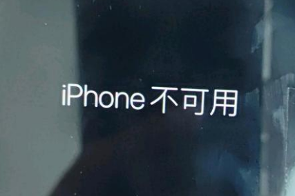 甘南苹果服务网点分享锁屏界面显示“iPhone 不可用”如何解决 