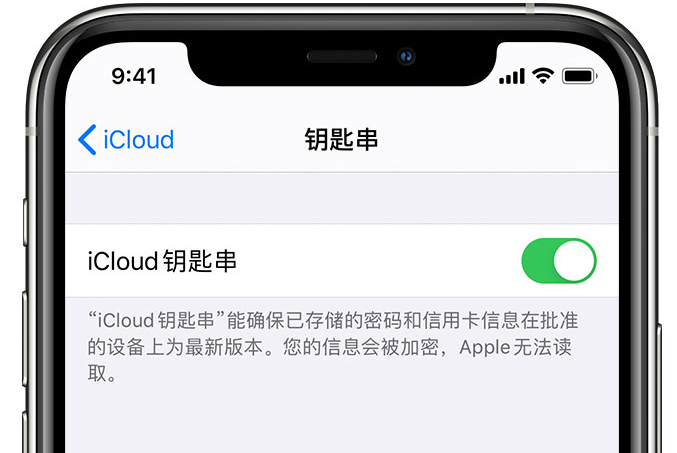 甘南苹果手机维修分享在 iPhone 上开启 iCloud 钥匙串之后会储存哪些信息 