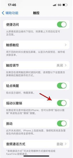 甘南苹果手机维修分享iPhone手机如何设置摇一摇删除文字 