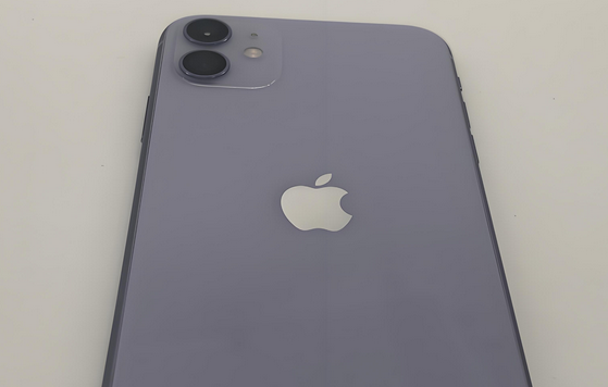 甘南苹果11系统维修分享iPhone11手机系统崩溃无法开机如何解决 
